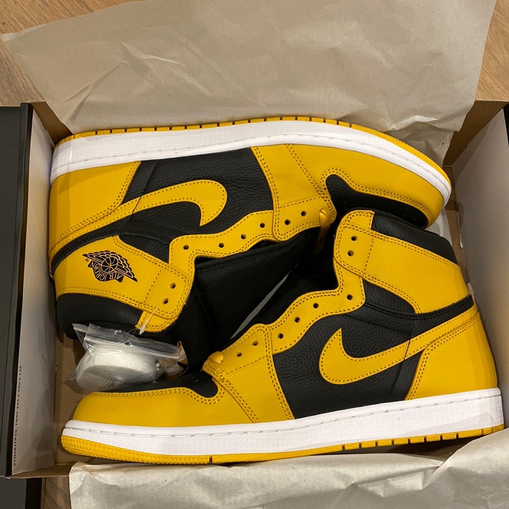 NWT Jordan 1